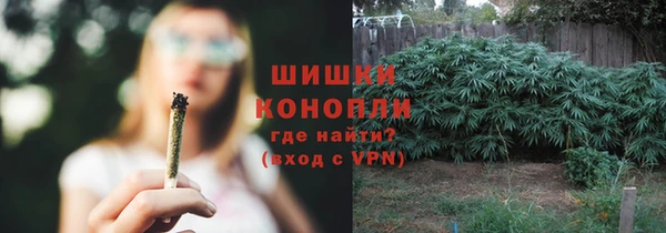 тгк Ладушкин