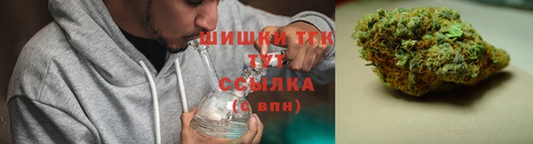 тгк Ладушкин