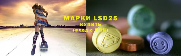 ПСИЛОЦИБИНОВЫЕ ГРИБЫ Лагань