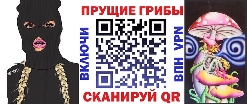 купить   Белебей  Псилоцибиновые грибы прущие грибы 