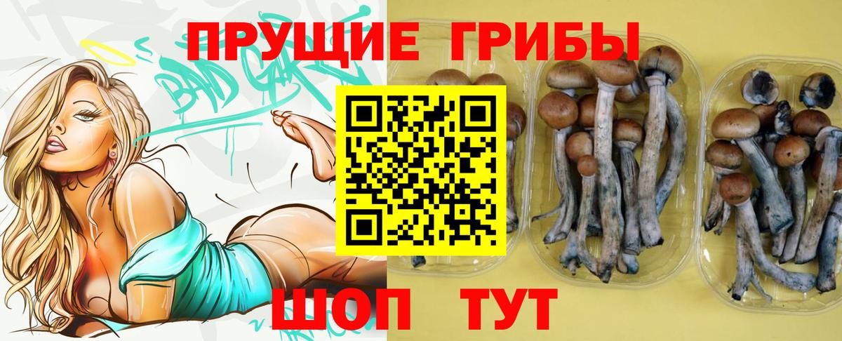 Галлюциногенные грибы Psilocybe  Вход с VPN  Белебей 